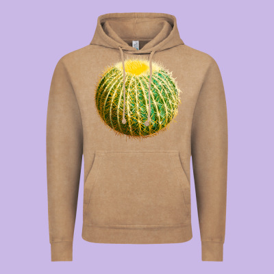 Golden Barrel Cactus Vintage Hoodie Designed By Lillyallendesigns
