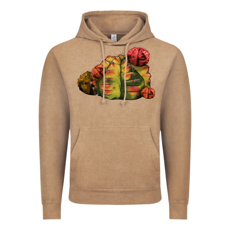 Gymnocalycium Variegated Cactus Vintage Hoodie by LillyAllenDesigns | Teevron