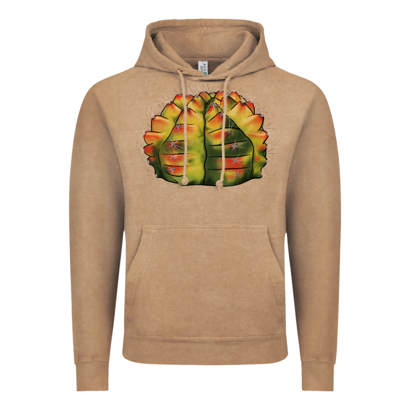 Gymnocalycium Variegated Cactus Vintage Hoodie by LillyAllenDesigns | Teevron