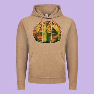 Gymnocalycium Variegated Cactus Vintage Hoodie Designed By Lillyallendesigns
