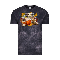 Cloud Black Fall Barn Owl Vintage Tee - LillyAllenDesigns