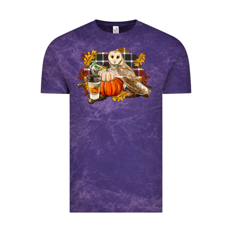 Fall Barn Owl Vintage Tee by LillyAllenDesigns | Teevron