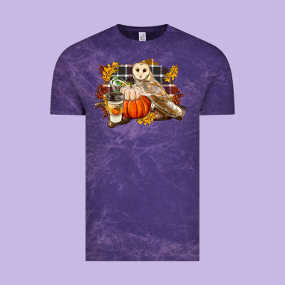 Fall Barn Owl Vintage Tee Designed By Lillyallendesigns
