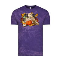 Cloud Purple Fall Barn Owl Vintage Tee - LillyAllenDesigns