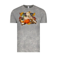 Cloud Rock Fall Barn Owl Vintage Tee - LillyAllenDesigns