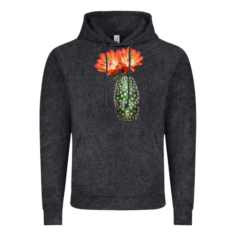 King Cup Cactus Vintage Hoodie by LillyAllenDesigns | Teevron