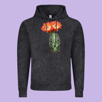 King Cup Cactus Vintage Hoodie Designed By Lillyallendesigns