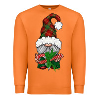 Carrot Christmas Gnome With Candy Premium Sweatshirt - BundleAndBundleShop