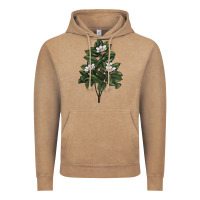 Vintage Coffee Magnolia Flower Illustrations Vintage Hoodie - LillyAllenDesigns