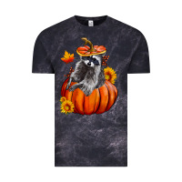 Cloud Black Fall Pumpkin Raccoon Vintage Tee - LillyAllenDesigns