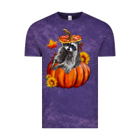 Cloud Purple Fall Pumpkin Raccoon Vintage Tee - LillyAllenDesigns