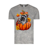 Cloud Rock Fall Pumpkin Raccoon Vintage Tee - LillyAllenDesigns
