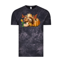 Cloud Black Fall Squirrel Vintage Tee - LillyAllenDesigns