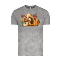 Cloud Rock Fall Squirrel Vintage Tee - LillyAllenDesigns