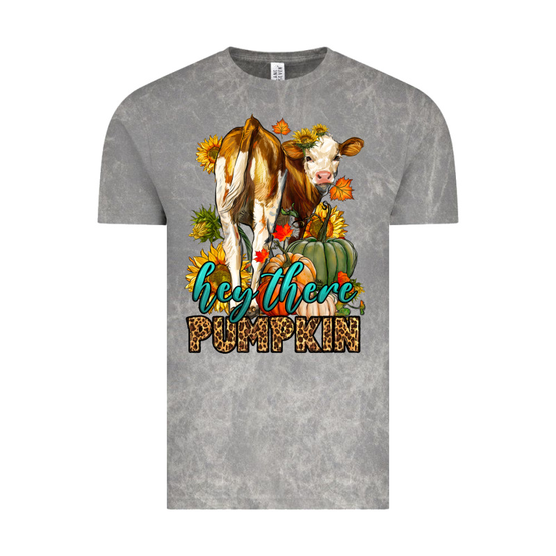 Hey There Pumpkin Fall Vintage Tee by LillyAllenDesigns | Teevron