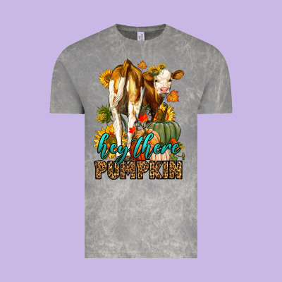 Hey There Pumpkin Fall Vintage Tee Designed By Lillyallendesigns