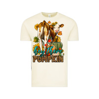 Vintage Arctic Hey There Pumpkin Fall Vintage Tee - LillyAllenDesigns