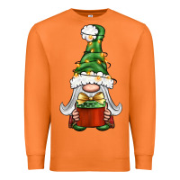 Carrot Christmas Gnome With Gift Premium Sweatshirt - BundleAndBundleShop