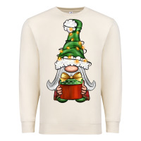 Sandshell Christmas Gnome With Gift Premium Sweatshirt - BundleAndBundleShop