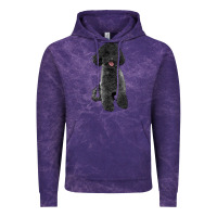 Cloud Purple black poodles dog Vintage Hoodie - LillyAllenDesigns