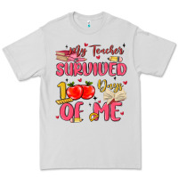 Dove Grey my teacher survived 100 days of me Premium Tee - MaliasSmallBusiness