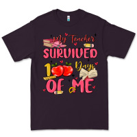 Plum my teacher survived 100 days of me Premium Tee - MaliasSmallBusiness