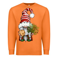 Carrot Christmas Gnome With Cookie Premium Sweatshirt - BundleAndBundleShop