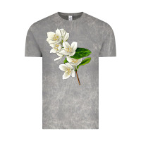 Cloud Rock Mock Oranges Vintage Tee - LillyAllenDesigns