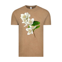 Vintage Coffee Mock Oranges Vintage Tee - LillyAllenDesigns