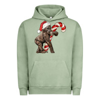 Pigment Oil Green Christmas Candy Cane Baby Gorilla Urban Hoodie - LillyAllenDesigns