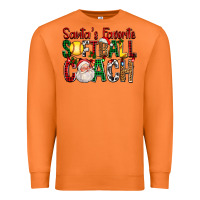 Carrot Santa's Favorite Softball Coach For Christmas Premium Sweatshirt - FaDigitalArtStudio