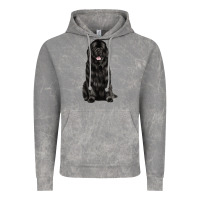 Cloud Rock newfoundland dog Vintage Hoodie - LillyAllenDesigns