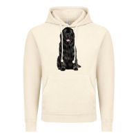 Vintage Artic newfoundland dog Vintage Hoodie - LillyAllenDesigns