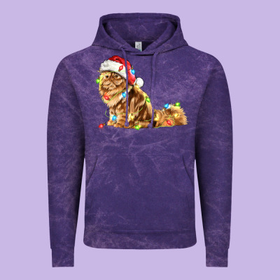Christmas Persian Cat Vintage Hoodie Designed By Lillyallendesigns