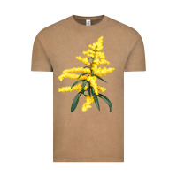 Vintage Coffee Botanical Goldenrod Vintage Tee - LillyAllenDesigns