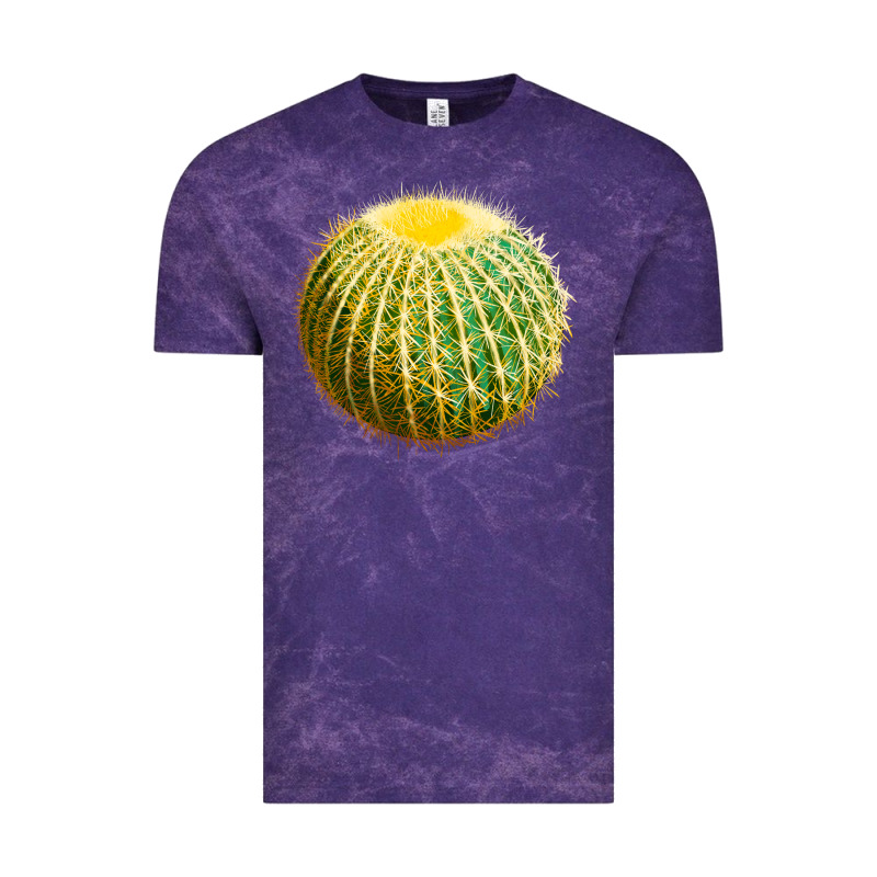 Golden Barrel Cactus Vintage Tee by LillyAllenDesigns | Teevron