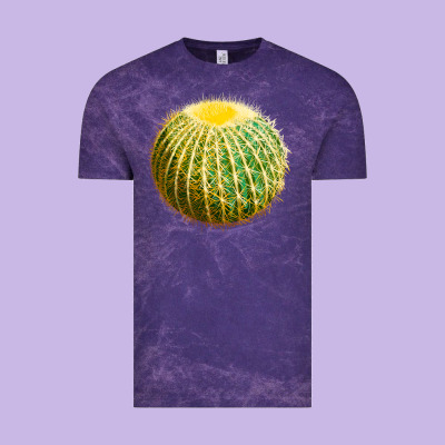 Golden Barrel Cactus Vintage Tee Designed By Lillyallendesigns