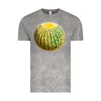 Cloud Rock Golden Barrel Cactus Vintage Tee - LillyAllenDesigns