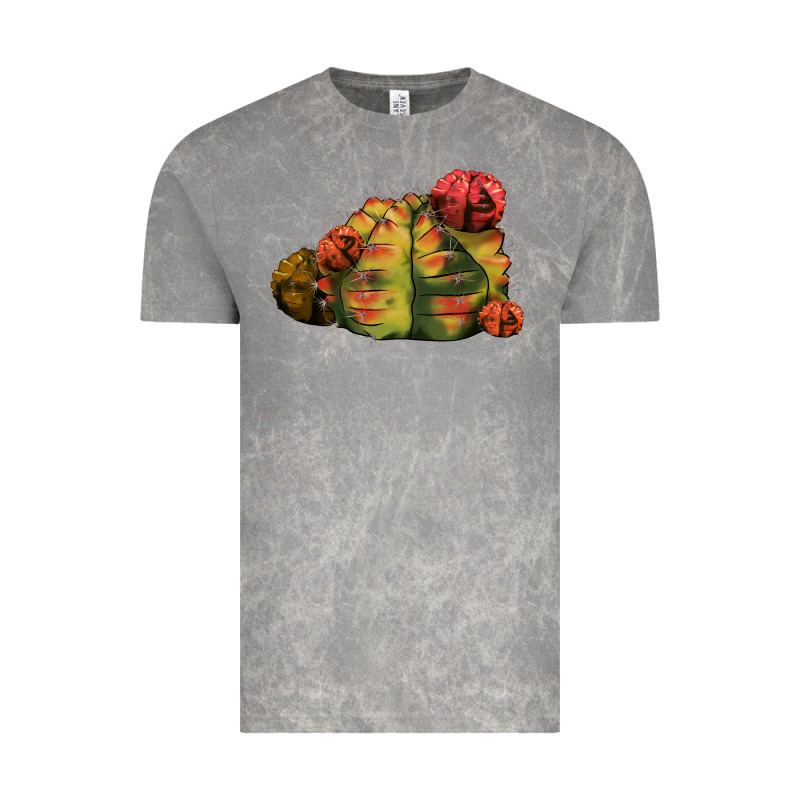 Gymnocalycium Variegated Cactus Vintage Tee by LillyAllenDesigns | Teevron