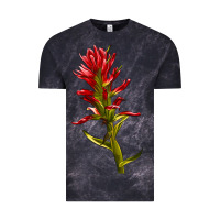 Cloud Black Indian Paintbrush Vintage Tee - LillyAllenDesigns