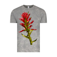 Cloud Rock Indian Paintbrush Vintage Tee - LillyAllenDesigns