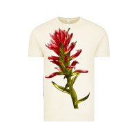 Vintage Arctic Indian Paintbrush Vintage Tee - LillyAllenDesigns