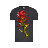 Vintage Black Indian Paintbrush Vintage Tee - LillyAllenDesigns