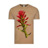 Vintage Coffee Indian Paintbrush Vintage Tee - LillyAllenDesigns