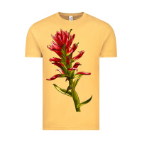 Vintage Mustard Indian Paintbrush Vintage Tee - LillyAllenDesigns