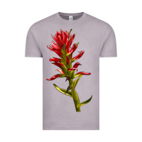 Vintage Zinc Indian Paintbrush Vintage Tee - LillyAllenDesigns