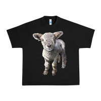 Black southdown baby sheep Urban Heavy Tee - LillyAllenDesigns