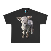 Pigment Black southdown baby sheep Urban Heavy Tee - LillyAllenDesigns