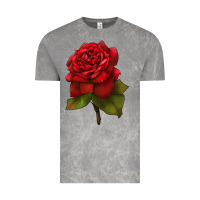 Cloud Rock Oklahoma Rose Illustrations Vintage Tee - LillyAllenDesigns