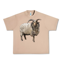 Burro navajo churro sheep Urban Heavy Tee - LillyAllenDesigns